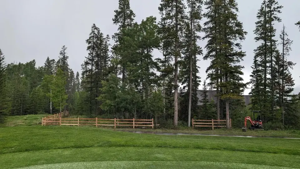 Wide lawn with a wood rail fence at the edge of tall evergreen trees